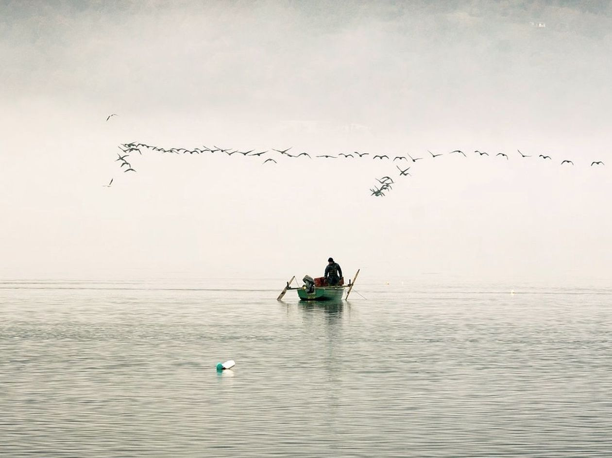 Fishing Net Selection Guide